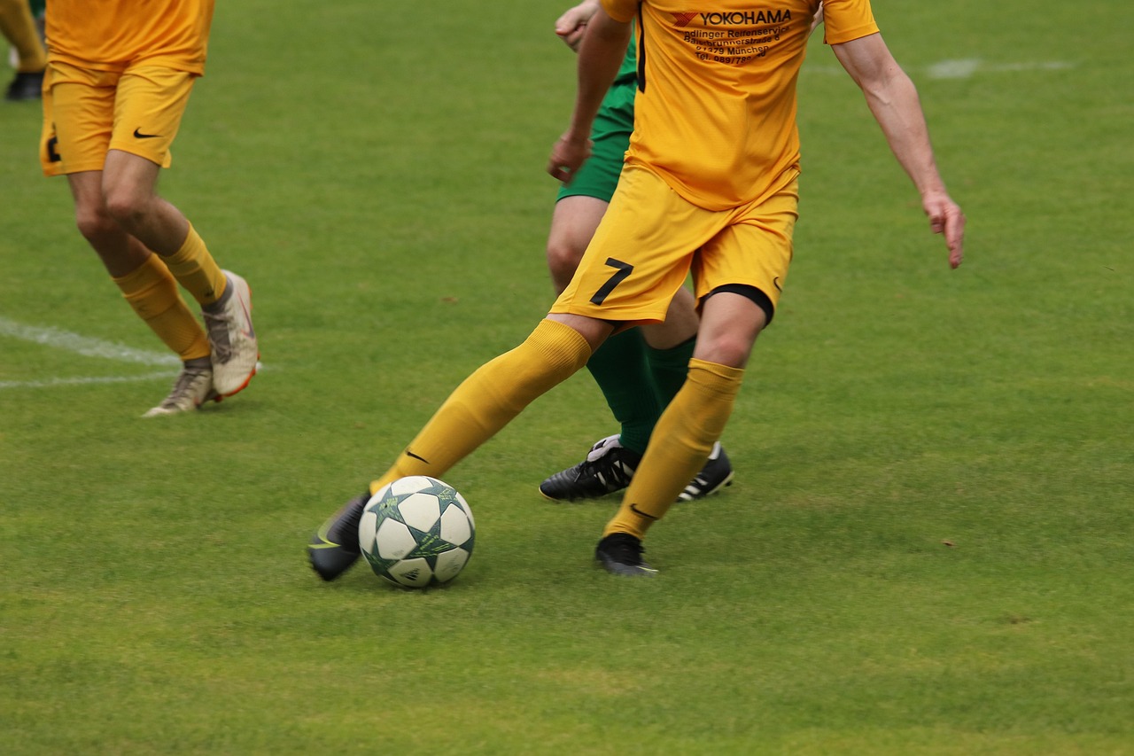 弗里克对米 弗里克对米